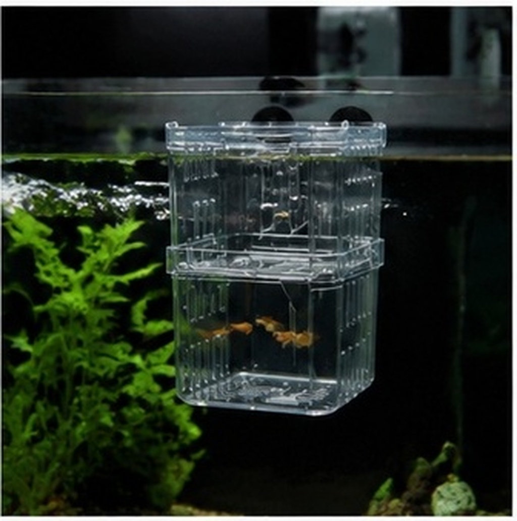 Aquarium Fish Rate - 3 sztuki – kompaktowe akwaria do