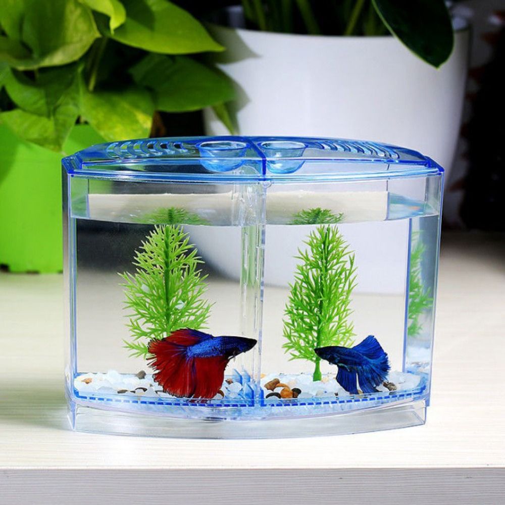 Aquarium Fish Cave - Przezroczyste akwarium Betta, dwusiatkowe akwarium z