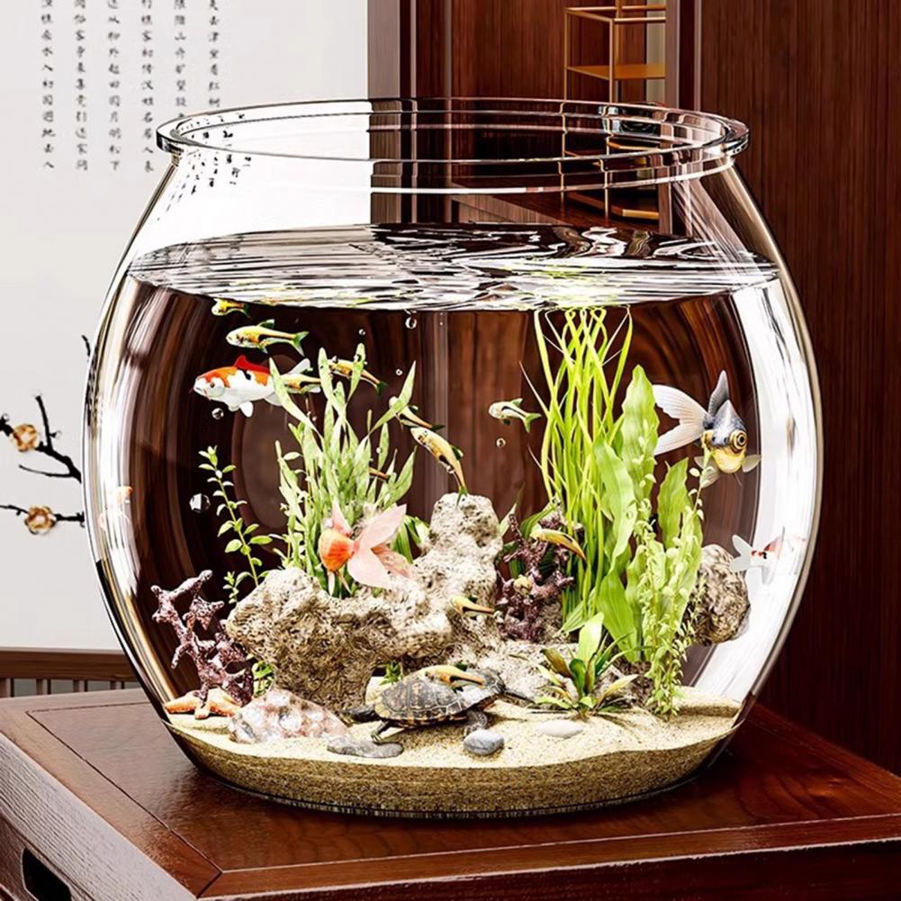 Live Fish Aquarium - Okrągła, przezroczysta plastikowa akwarium w kształcie