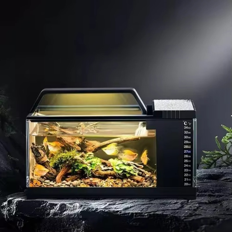 Aquarium Fish Low Maintenance - Akwarium w stylu południowoamerykańskim - małe