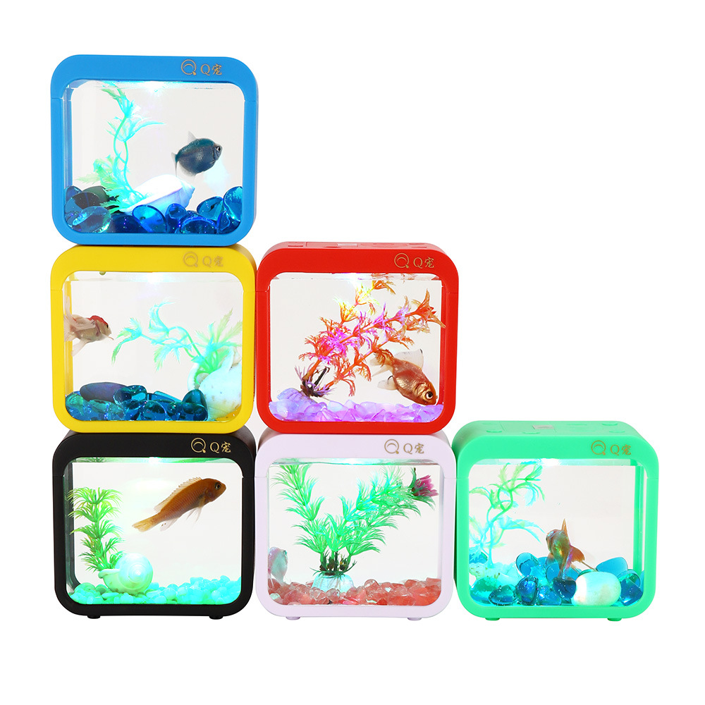 Kolorowe kreatywne pudełko Bet – Live Fish Aquarium recenzja i cena