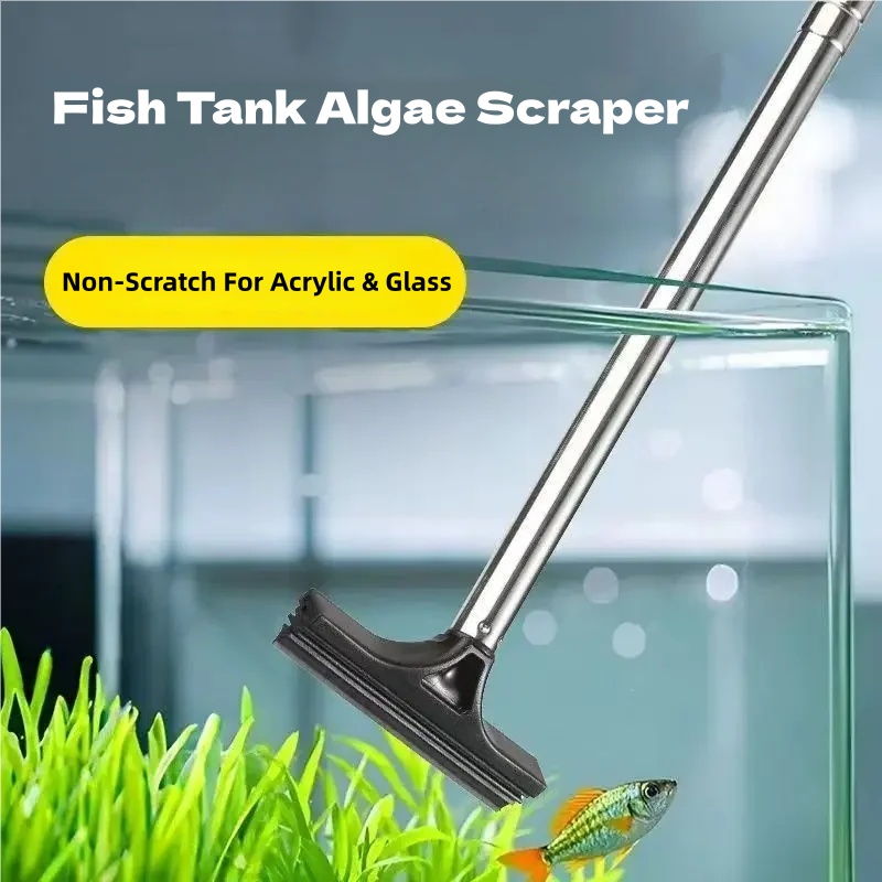 Teleskopowy skrobak do glonów  – Algae Scraper Blade recenzja i cena
