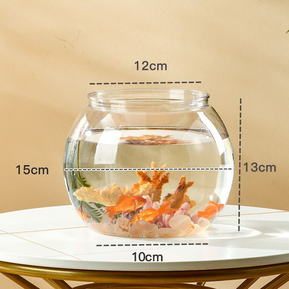 Akwarium Domowe Przezroczyste  – Live Fish Aquarium recenzja i cena