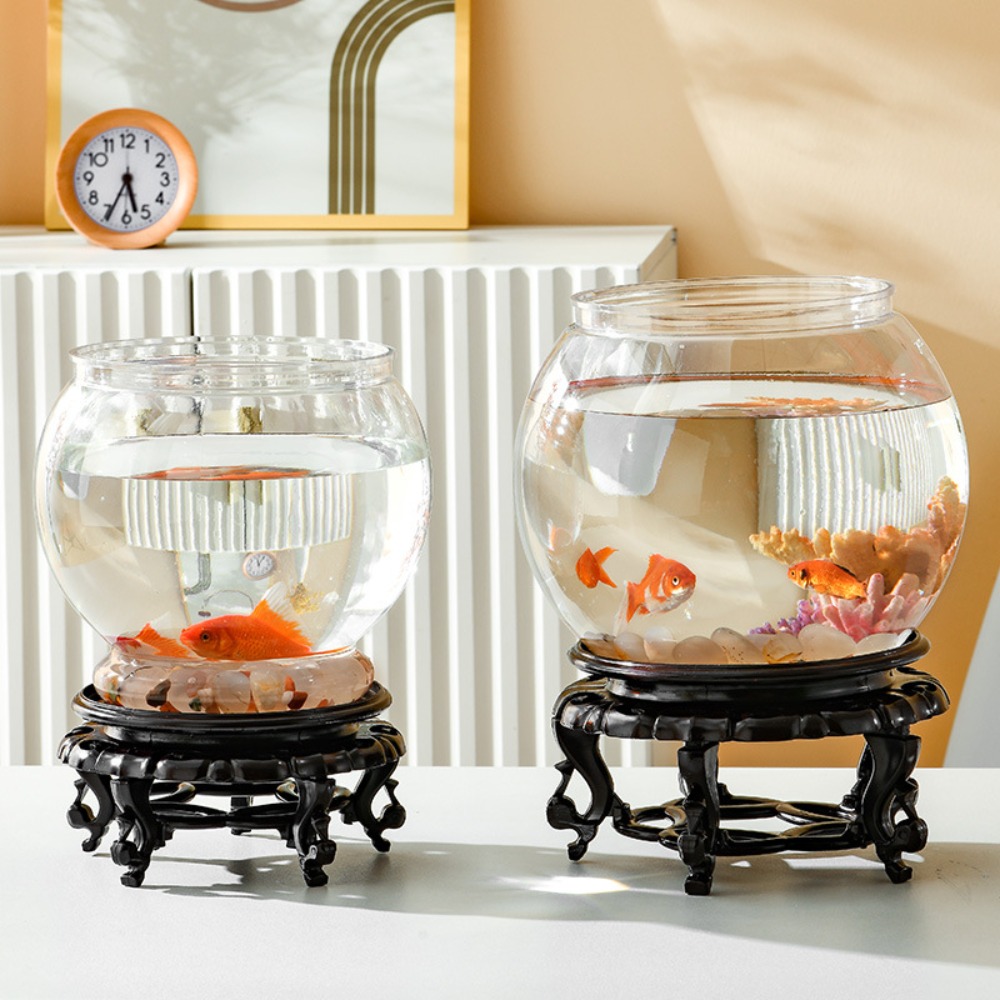 Akwarium Domowe Przezroczyste  – Live Fish Aquarium recenzja i cena
