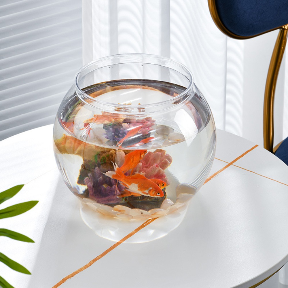 Akwarium Domowe Przezroczyste  – Live Fish Aquarium recenzja i cena