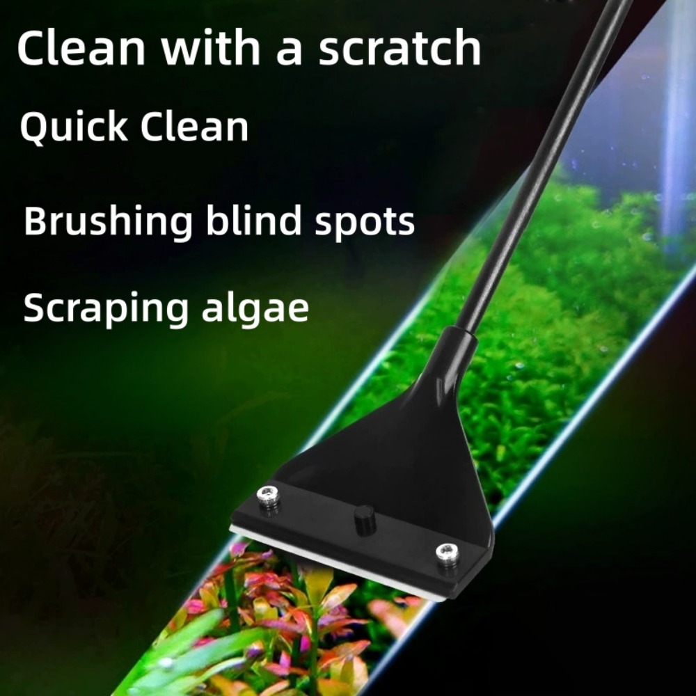 Ręczne narzędzie do czyszczeni – Algae Scraper Blade recenzja i cena