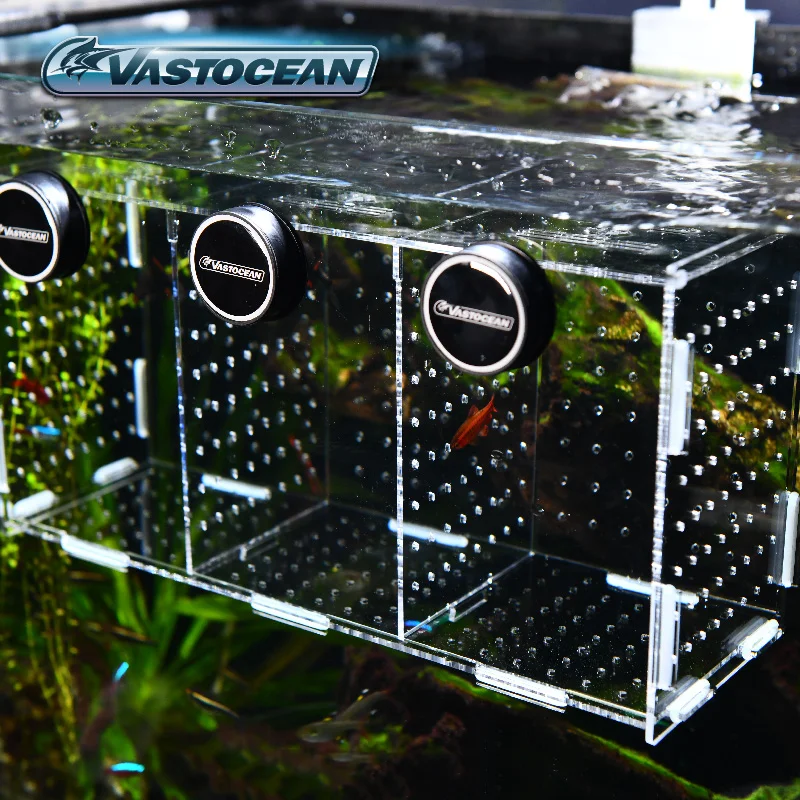 VASTOCEAN Fish Tank Magnetic C – Aquarium Fish Cave recenzja i cena