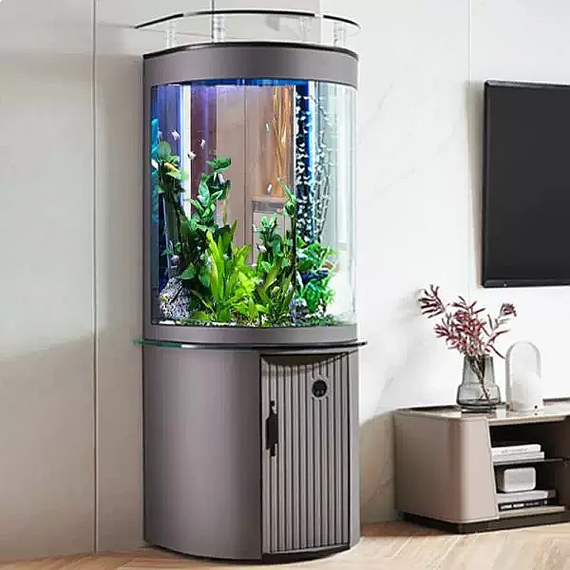 Akwarium ZL z półokrągłym dnem – Aquarium Fish Low Maintenance recenzja i cena