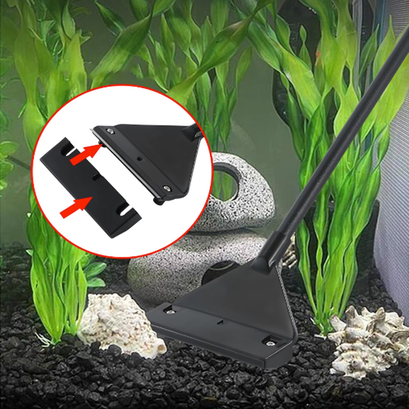Skrobak ze stali nierdzewnej d – Algae Scraper Blade recenzja i cena