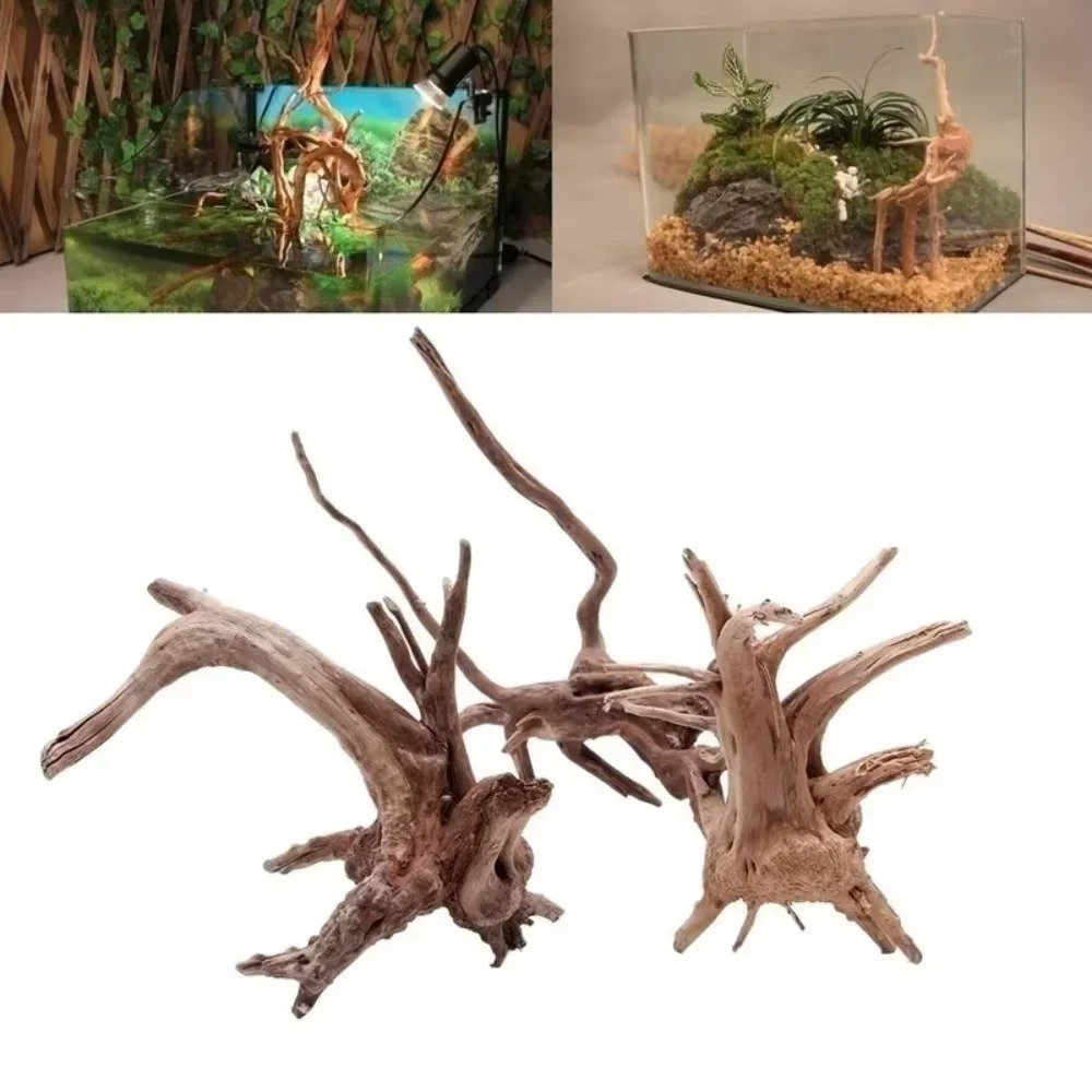 Dekoracja do akwarium z natura – Aquarium Fish Saltwater recenzja i cena
