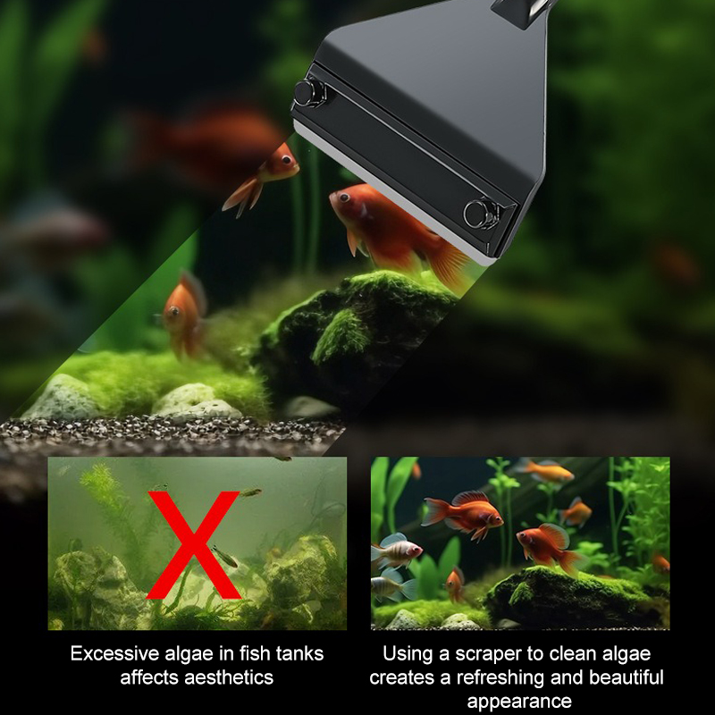 Akwarium Środek do usuwania gl – Algae Scraper Blade recenzja i cena