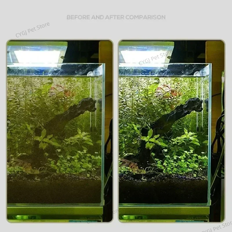 Narzędzie do czyszczenia akwar – Algae Scraper Blade recenzja i cena