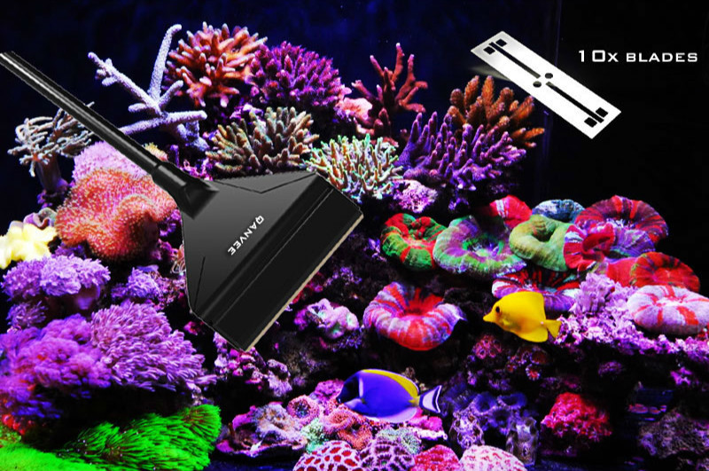 QANVEE Obrotowy nóż do skroban – Algae Scraper Blade recenzja i cena