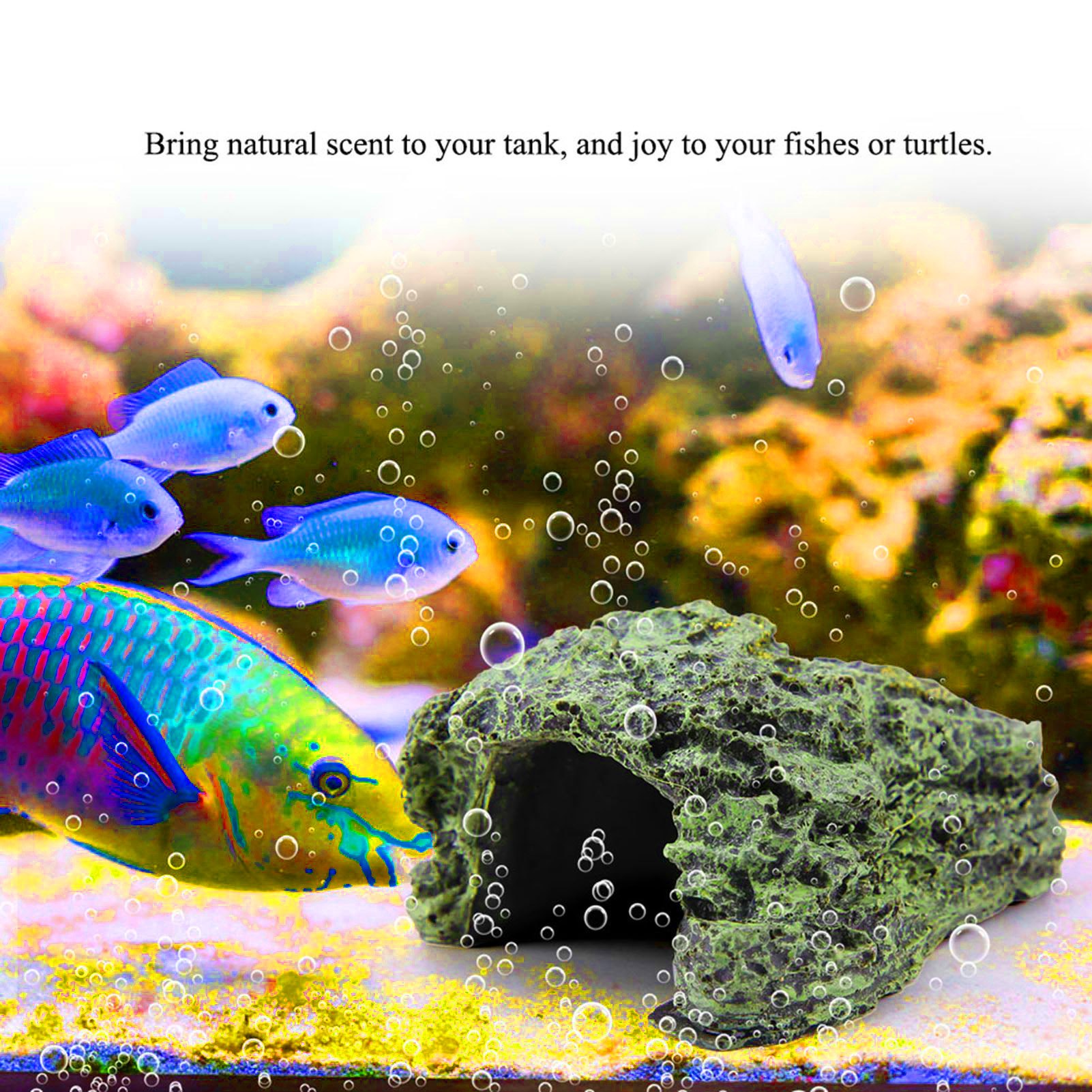 Jaskinia dla gadów, kryjówka d – Aquarium Fish Cave recenzja i cena