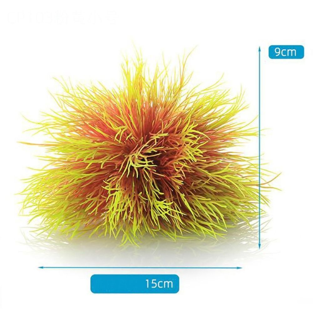 Bezpieczne, nietoksyczne, sztu – Aquarium Fish Low Maintenance recenzja i cena