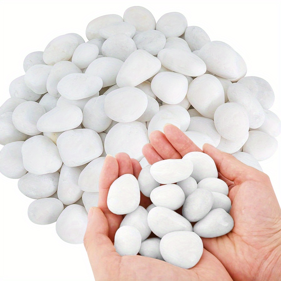 200/400g Białe, wysoki połysk, – Aquarium Fish Saltwater recenzja i cena