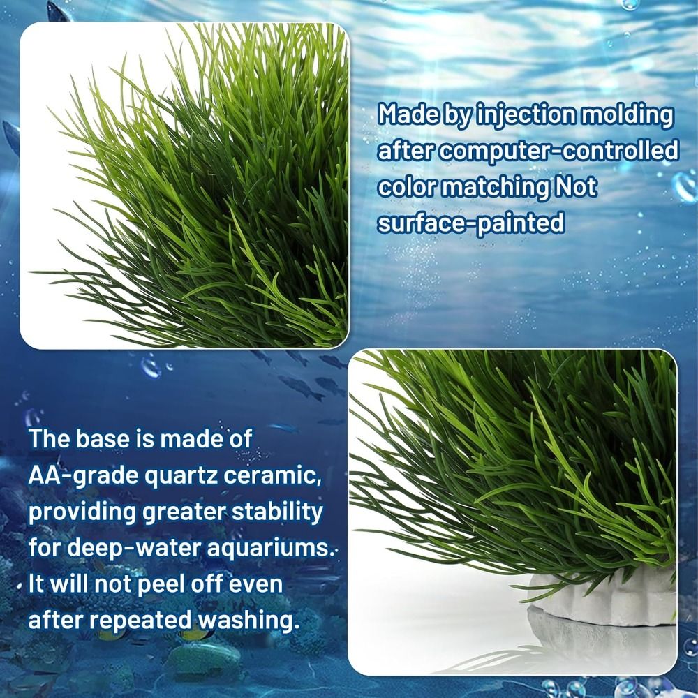 Bezpieczne, nietoksyczne, sztu – Aquarium Fish Low Maintenance recenzja i cena