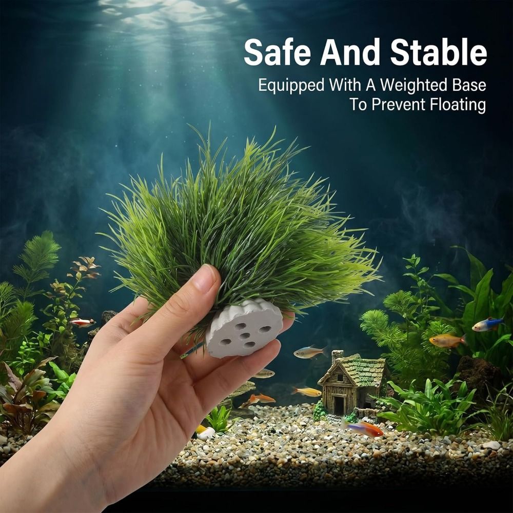 Bezpieczne, nietoksyczne, sztu – Aquarium Fish Low Maintenance recenzja i cena