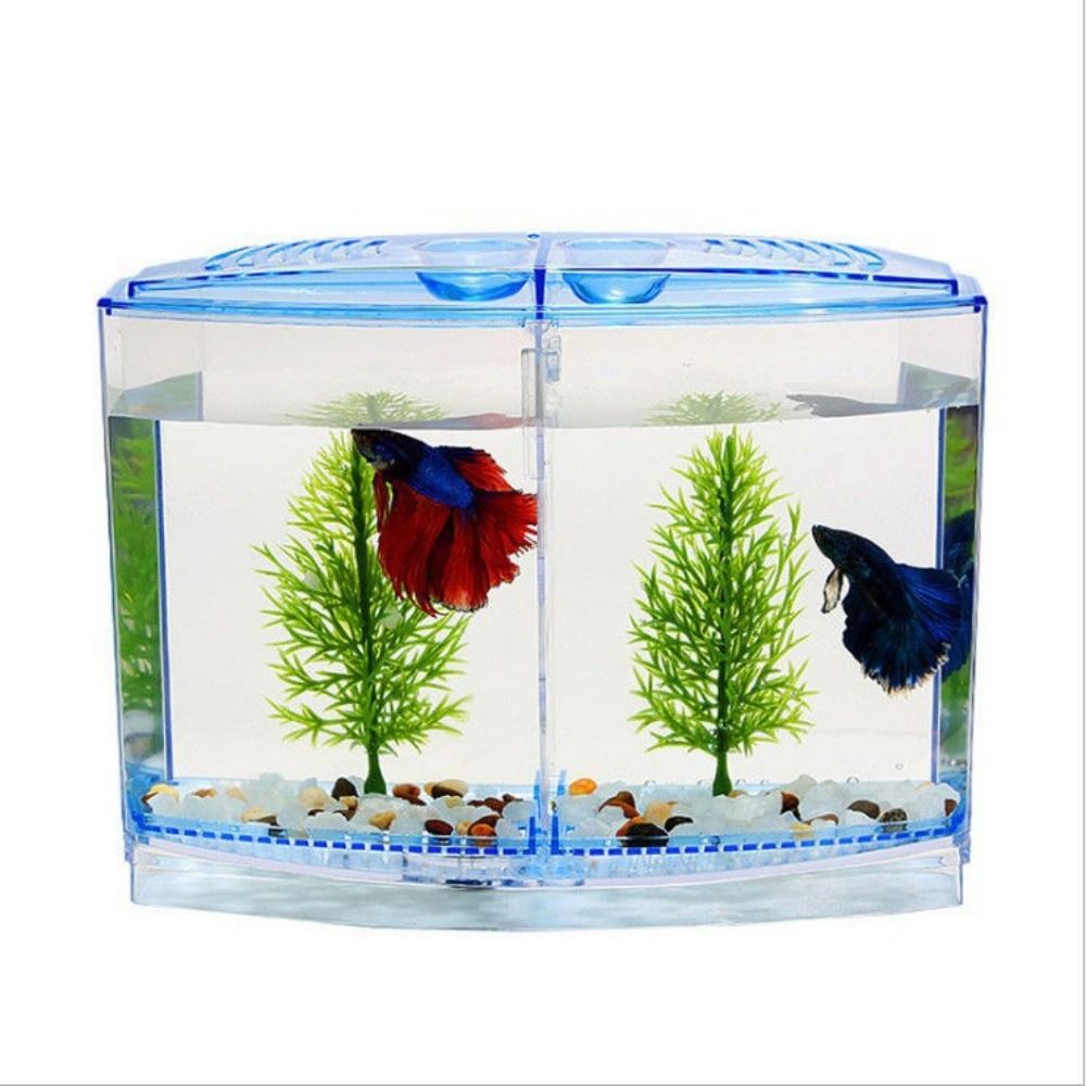 Przezroczyste akwarium Betta,  – Aquarium Fish Cave recenzja i cena