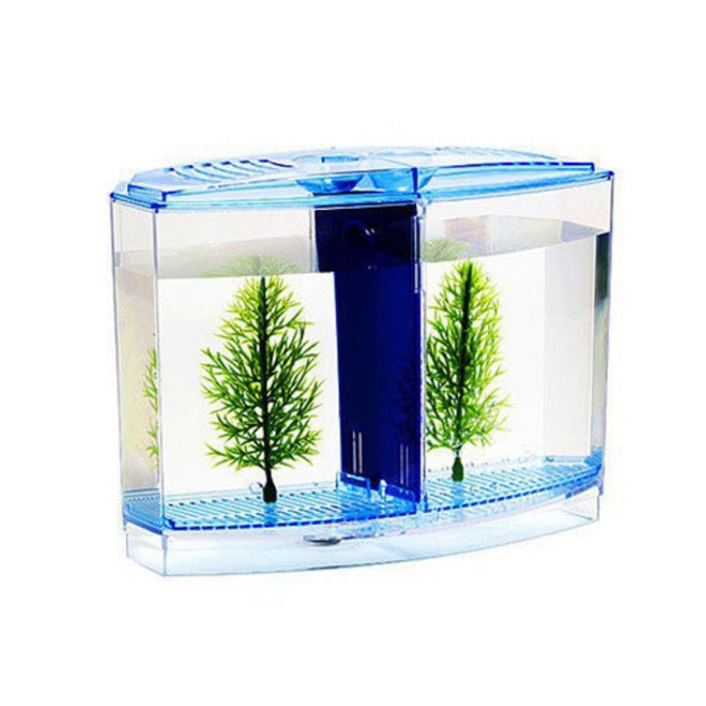 Przezroczyste akwarium Betta,  – Aquarium Fish Cave recenzja i cena