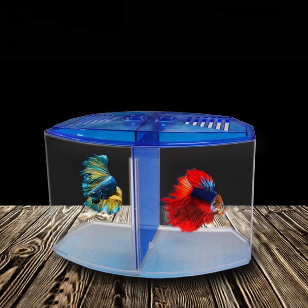 Przezroczyste akwarium Betta,  – Aquarium Fish Cave recenzja i cena
