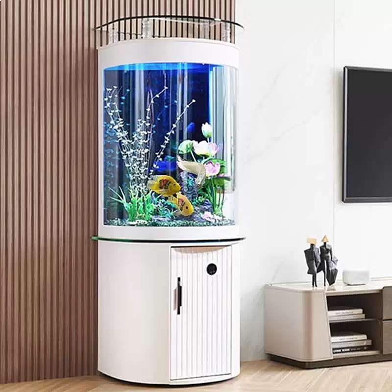Akwarium z półokrągłym dnem, s – Aquarium Fish Low Maintenance recenzja i cena