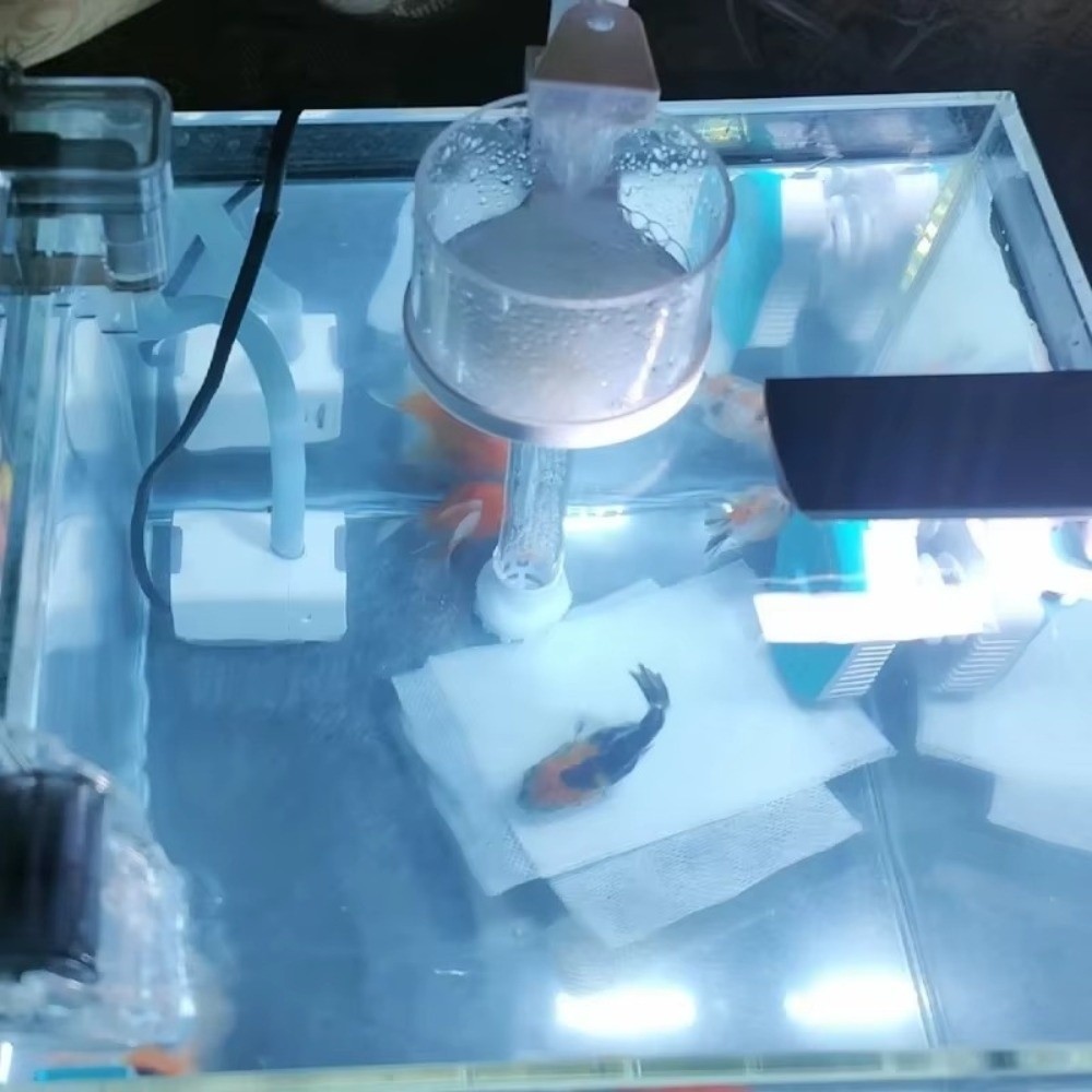 Odłączany zbiornik na odpady r – Aquarium Fish Waste Collector recenzja i cena