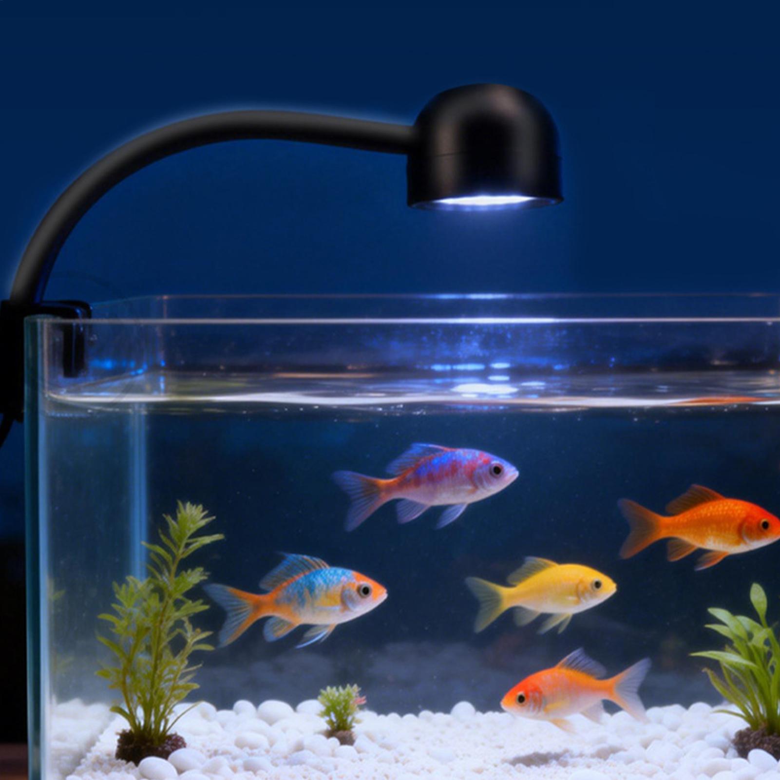Lampa LED do akwarium obracana – Live Fish Aquarium recenzja i cena