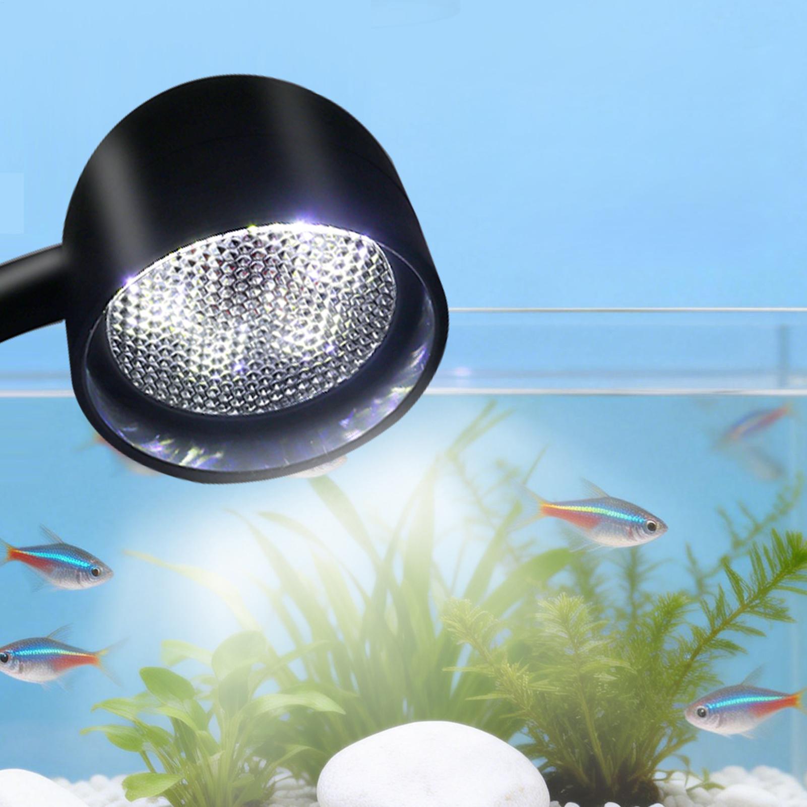 Lampa LED do akwarium obracana – Live Fish Aquarium recenzja i cena