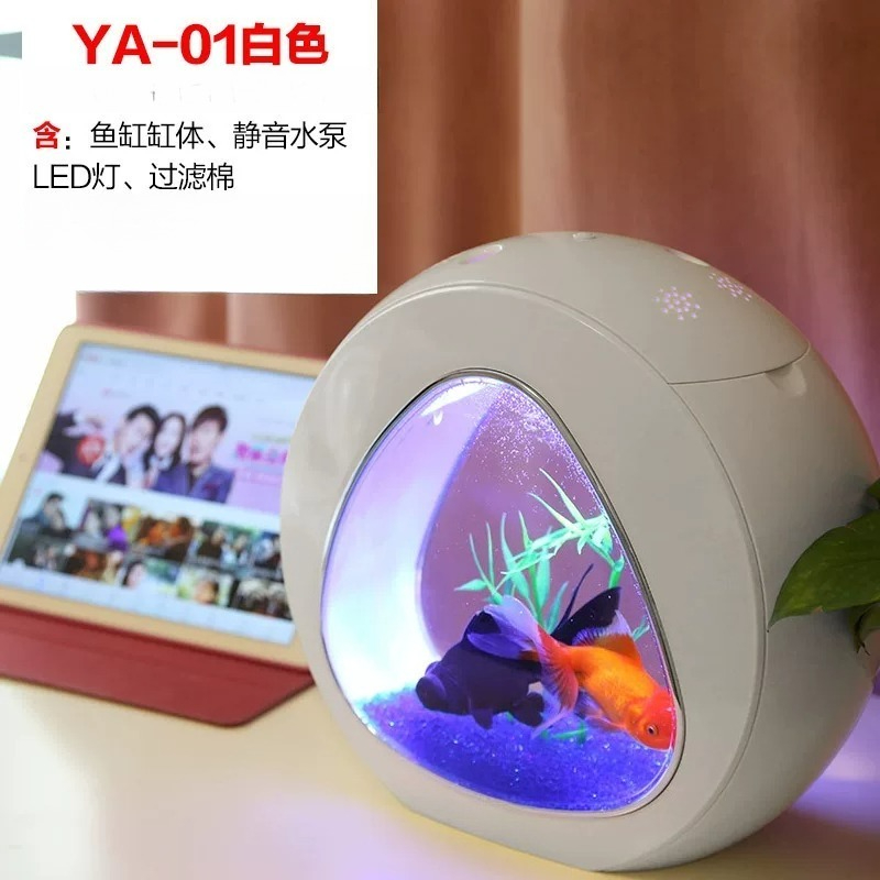 Akwarium, akwarium do salonu,  – Live Fish Aquarium recenzja i cena