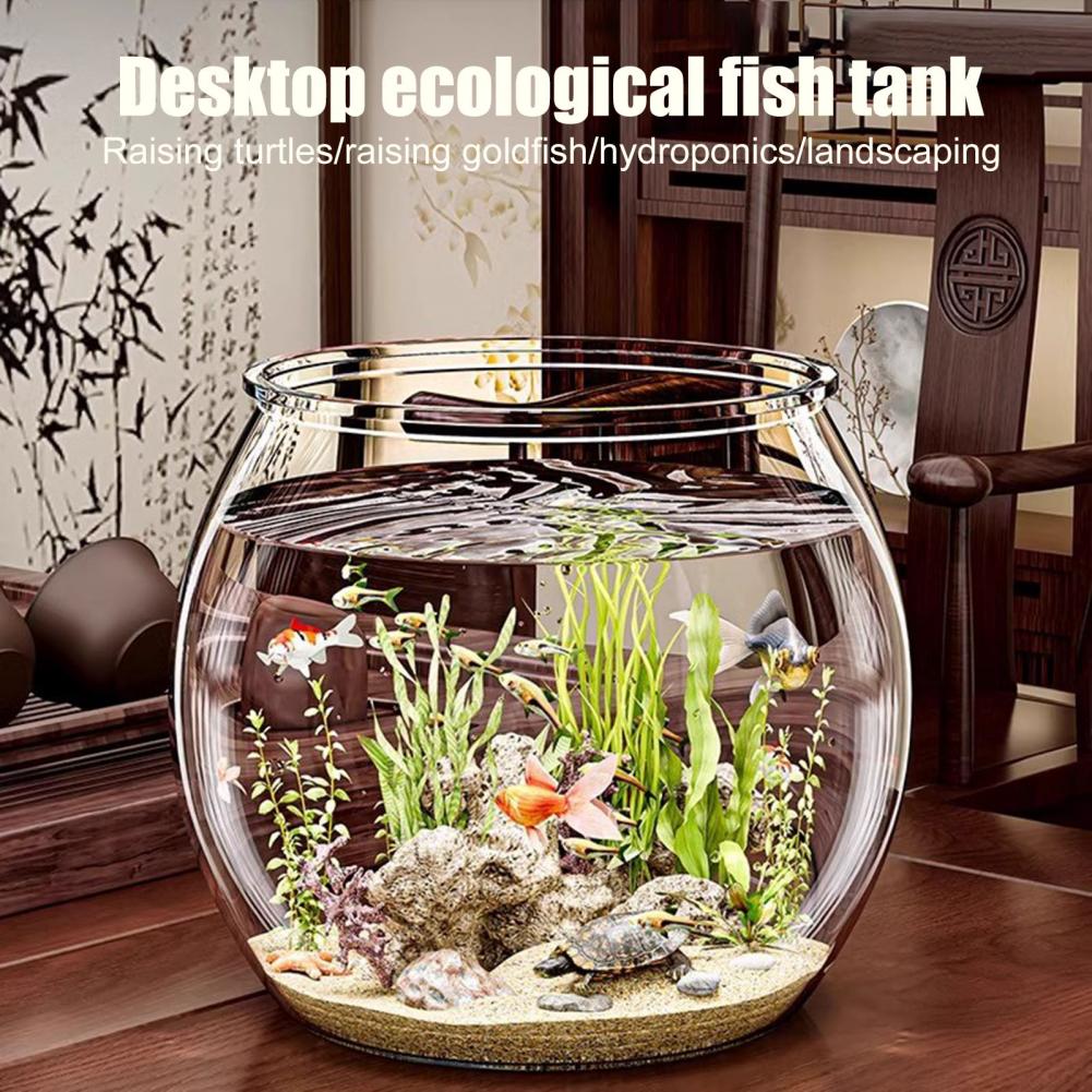 Okrągła, przezroczysta plastik – Live Fish Aquarium recenzja i cena