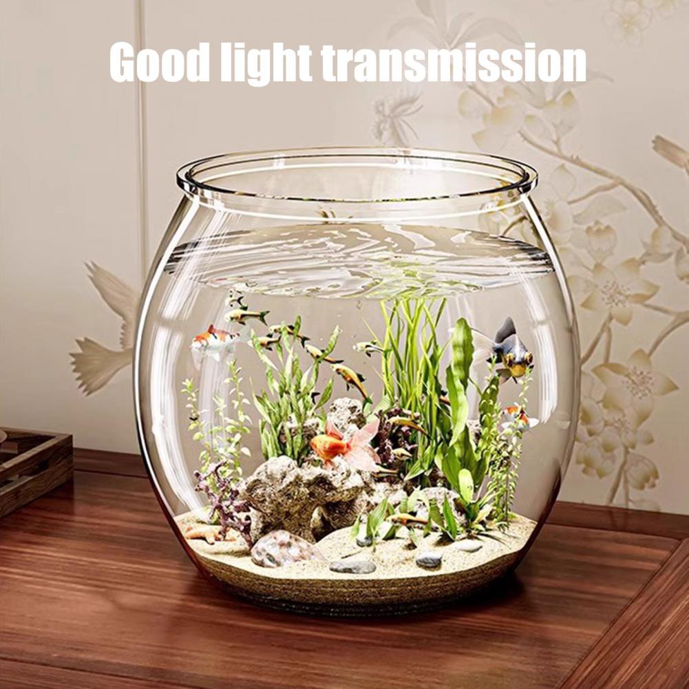 Okrągła, przezroczysta plastik – Live Fish Aquarium recenzja i cena
