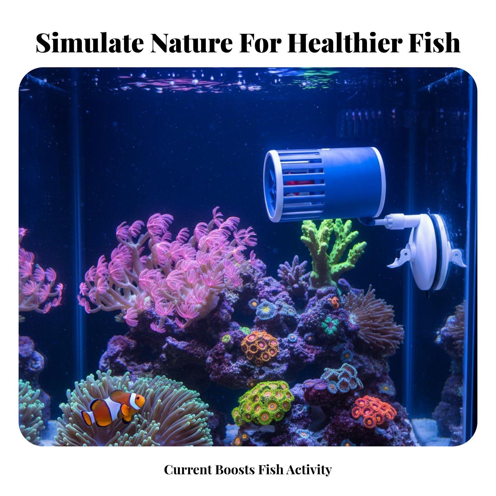 Pompa cyrkulacyjna do akwarium – Aquarium Fish Rate recenzja i cena