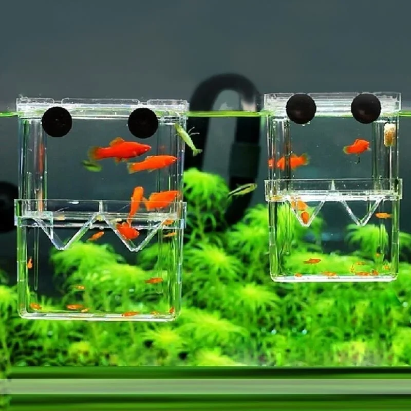 Wielofunkcyjne akwarium dla ry – Aquarium Fish Cave recenzja i cena
