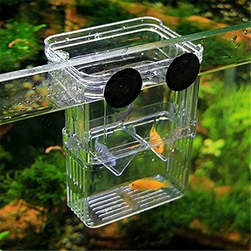 Wielofunkcyjne akwarium dla ry – Aquarium Fish Cave recenzja i cena