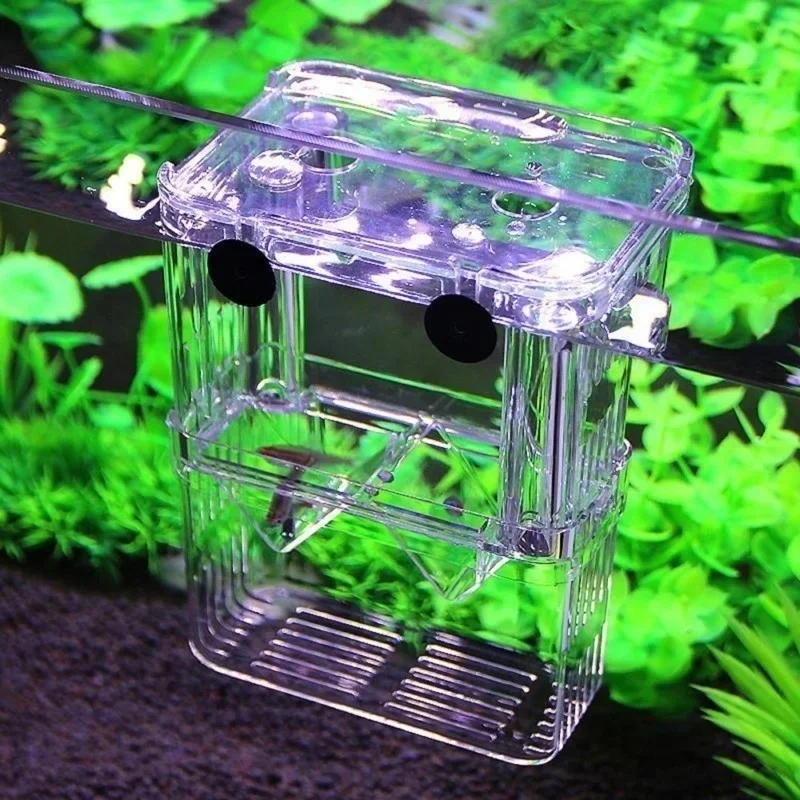 Wielofunkcyjne akwarium dla ry – Aquarium Fish Cave recenzja i cena
