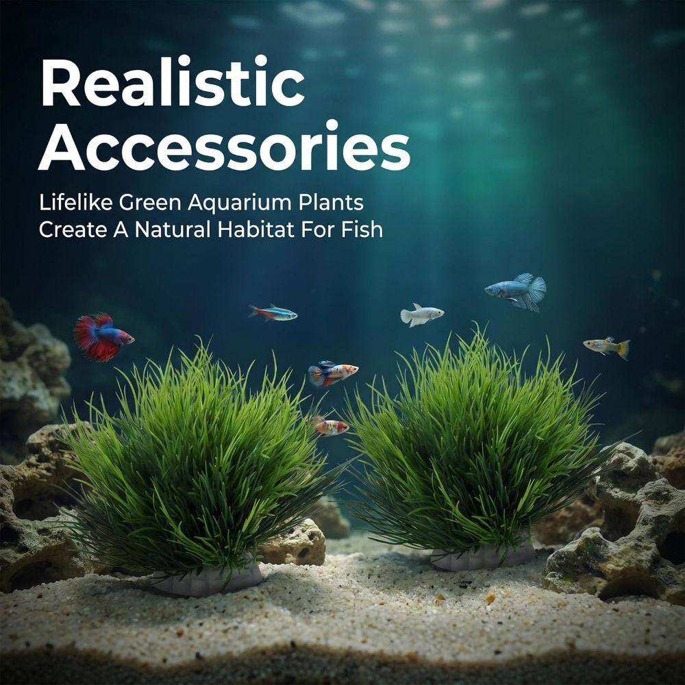Bezpieczne, nietoksyczne, sztu – Aquarium Fish Low Maintenance recenzja i cena