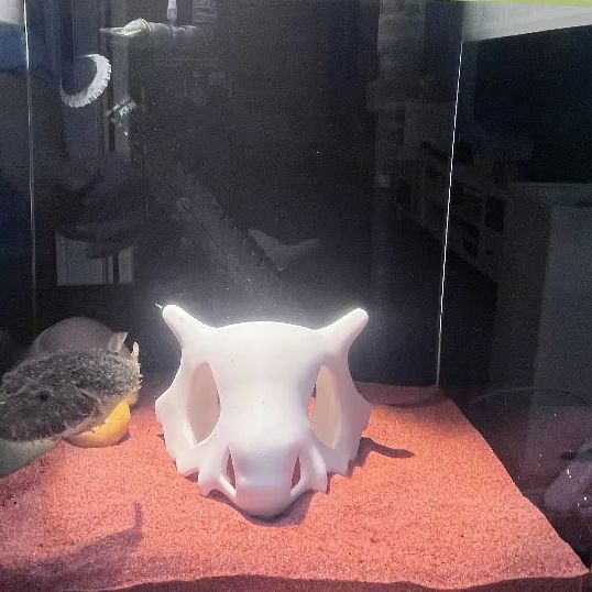 Drukowany w 3D schron dla ryb, – Aquarium Fish Cave recenzja i cena