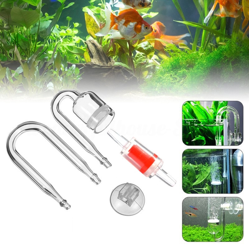 4szt Zestaw DIY Dyfuzor CO2 do – Live Fish Aquarium recenzja i cena