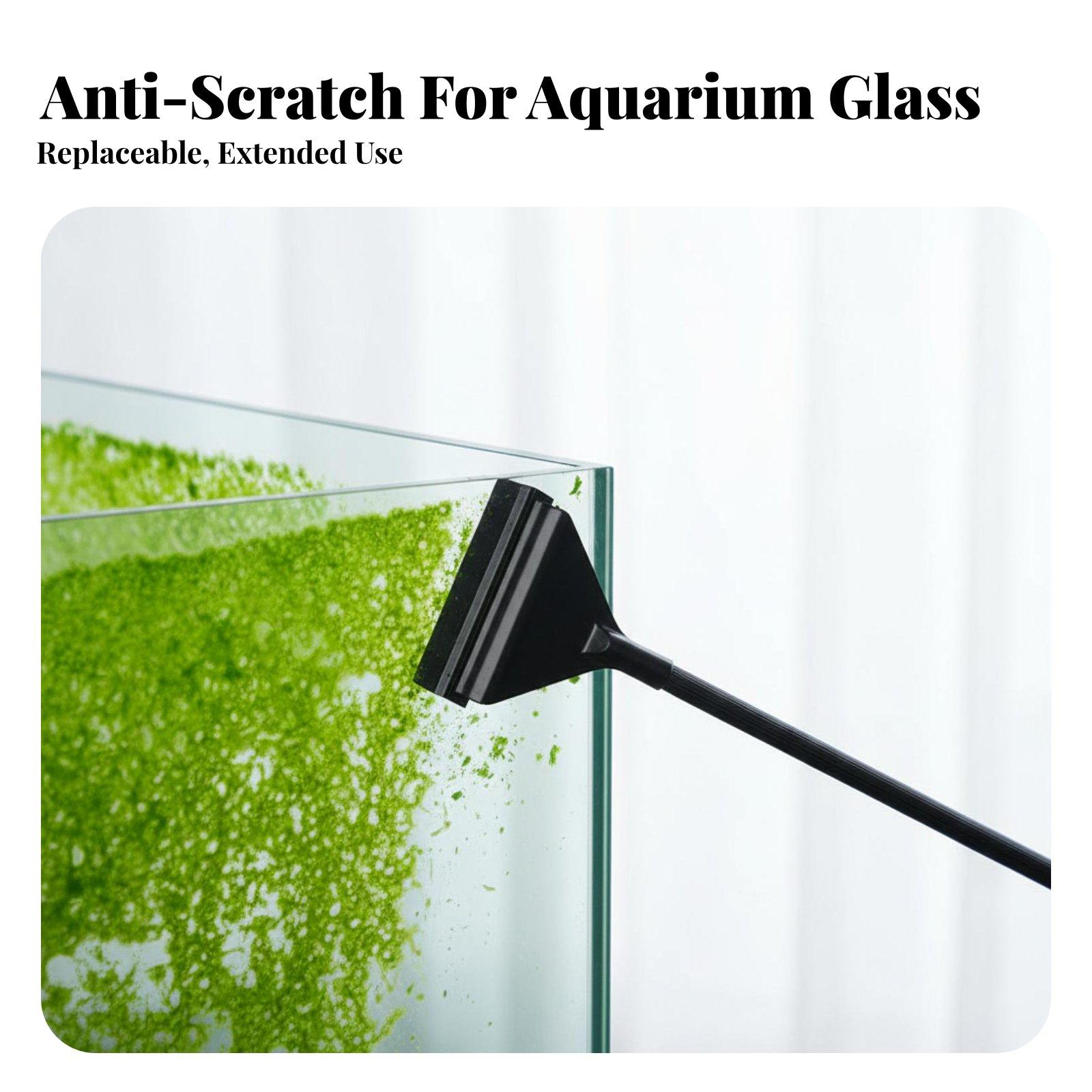 Skrobak do glonów w akwarium z – Algae Scraper Blade recenzja i cena